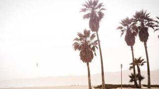 红桃免费高清在线看-纪录片片段